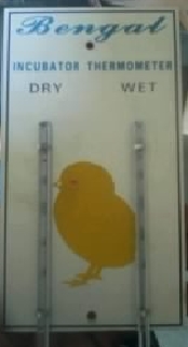 Dry & Wet Thermometer