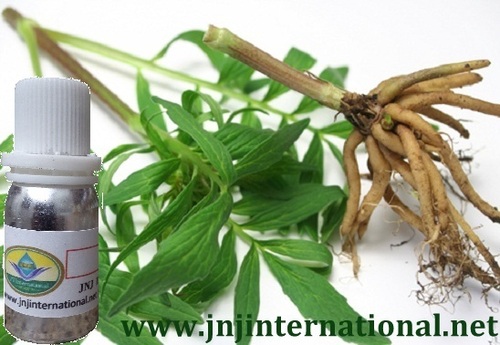 VELERIAN ROOT OIL