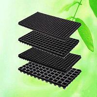 Plastic Seed Trays