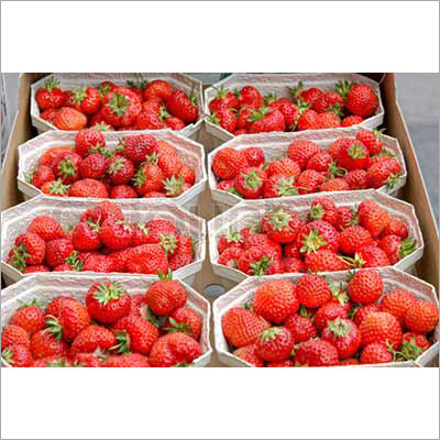 Strawberry Punnet