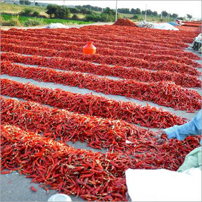 Farm Fresh Red Chilli