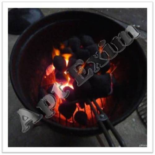 Odorless BBQ Briquette - Coconut Shell Pillow Shaped | Easy Ignition Long Burning Low Ash Even Burn High Heat
