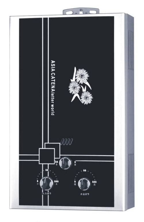 Elegant Design Gas Water Heater