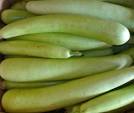 bottle gourd