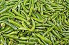 green chilli