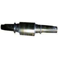 Crusher Eccentric Shaft - Mild Steel, Customized Size, Yellow Finish | High Strength, Dimensional Accuracy, Corrosion Resistant