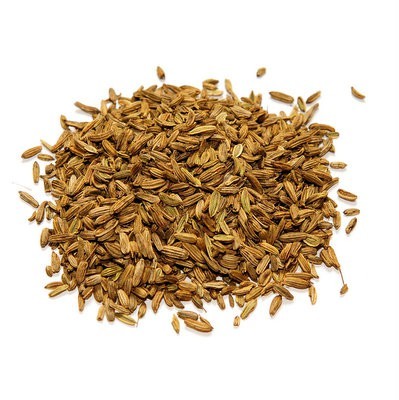 Bitter Fennel Fruit Oil