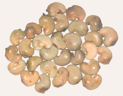 Cashew Nut Shell Oil