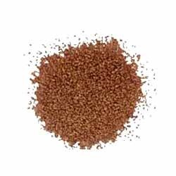Ajowan Oil ( 40% Thymol )