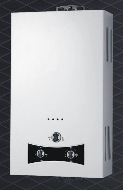 6L/8L Tankless Gas Water Heater