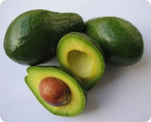 Avocado