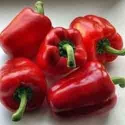 Capsicum Dry Extract