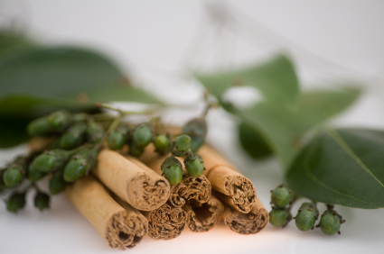 Cinnamon Leaf Oil - Cinnamomum Zylanicum, Brownish Yellow Fluid Liquid, Optical Rotation -2° to +1°, Refractive Index 1.522-1.540 | Pure Essential Oil, Aroma Therapy, Natural Ingredient, Versatile Uses