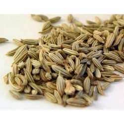 Fennel Seed Oil