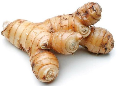 Galangal oil
