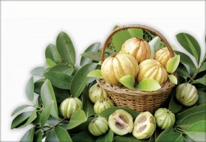 Garcinia Cambogia