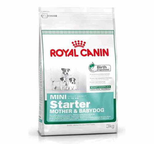 ROYAL CANIN MINI STARTER 