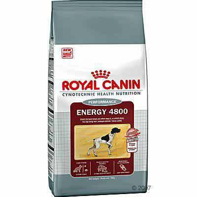 ROYAL CANIN CYNO ENERGY - 15 Kg Dry Kibble, 30% Fat | High Energy, Immunity Boost, Digestive Health, Sustained Effort