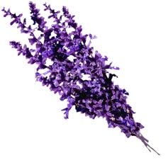 Lavender Floral Water