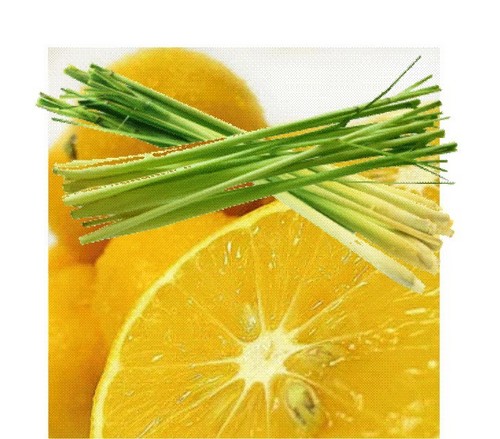 Lemon Grass Oil
