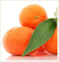 Mandarine oil