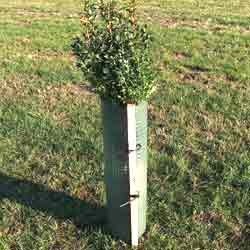 Tree Fence Guards
