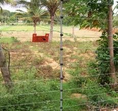 Agriculture Security Fencing