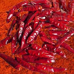 Red Chilli