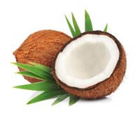 Coconut Milk Protein
