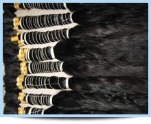 Raw Human Hair