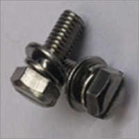 Ss 304 Hex Slotted Screw with Integrated SS Spring Washer & SS Plain Washer