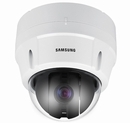 Spectra IP Dome Camera
