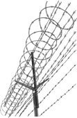 Wire Mesh Fence