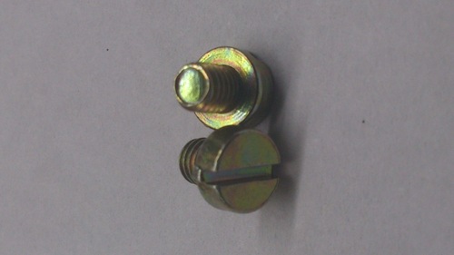 Slotted Screw