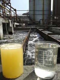 Vegetable Oil Refining Plant - Stainless Steel, Customizable Capacity , Durable Design, Easy Operation, Energy Saving, High Efficiency, Improved Quality