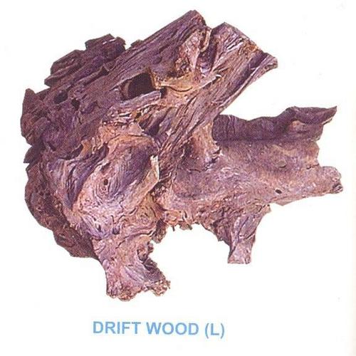 Aquarium Woods