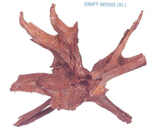 Aquarium Woods