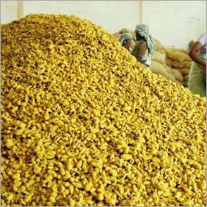 Turmeric
