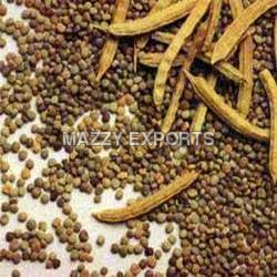 Guar Gum
