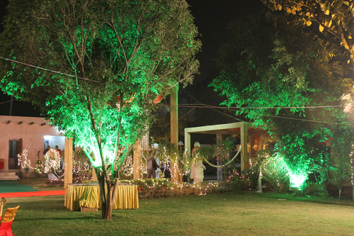 Party Lawn