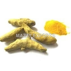 Curcuma Turmeric Hot