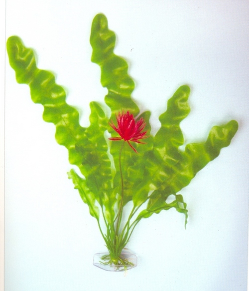 NW Plastic Plant AP 025