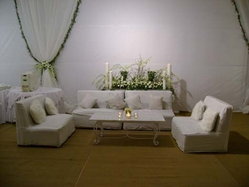 Modern Party Lawn