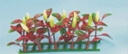 NW Plastic Plant P -14