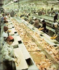 Fisheries Plants