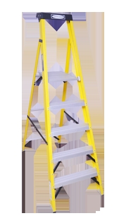 Platform Ladder