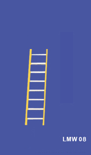 Wall Supported Ladder