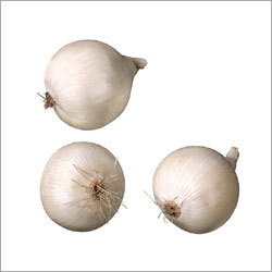 White Onion