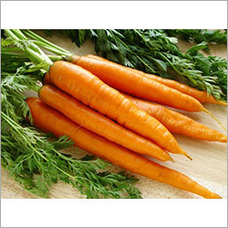 Fresh Red Carrot
