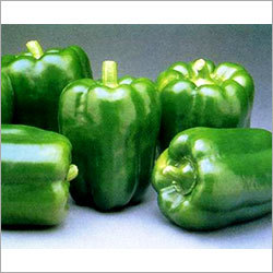 Fresh Green Capsicum